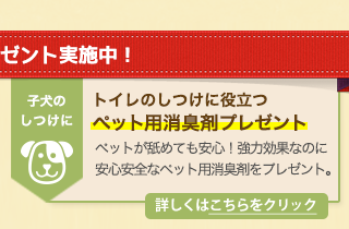 メインクーン・ブリーダーズ 特典3